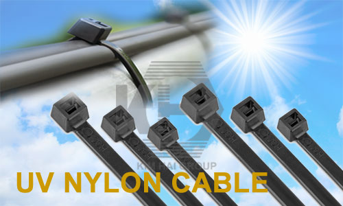 Tấm Polycarbonate Đặc Lấy Sáng